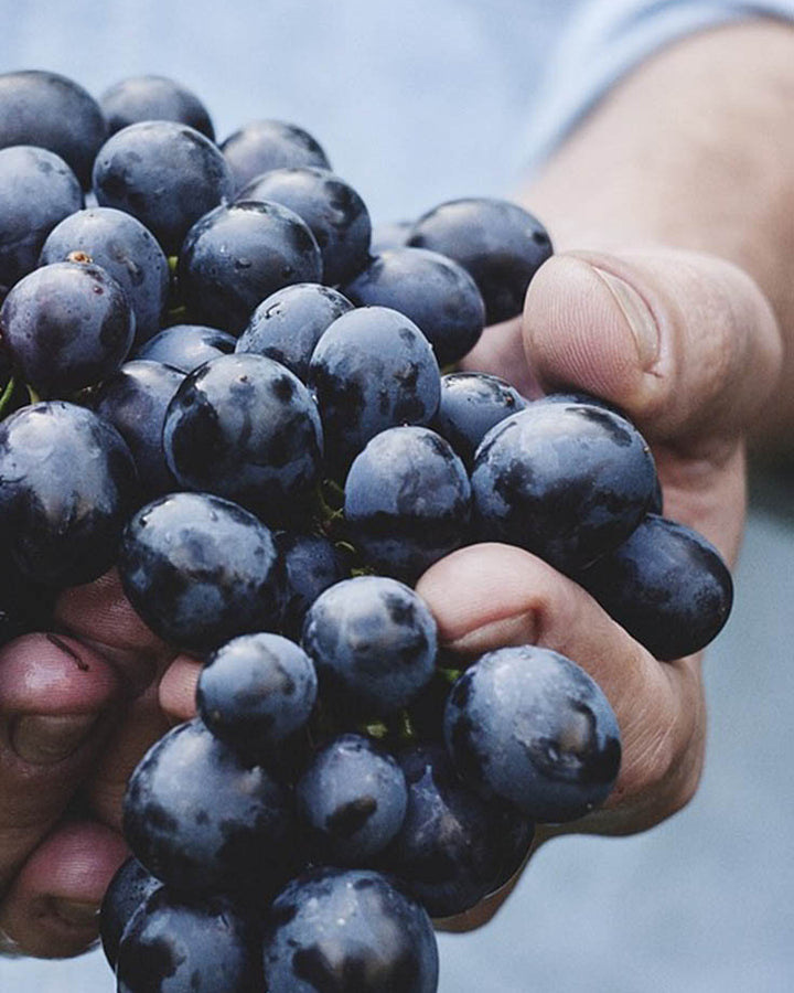 Ora Organic Replo page integration